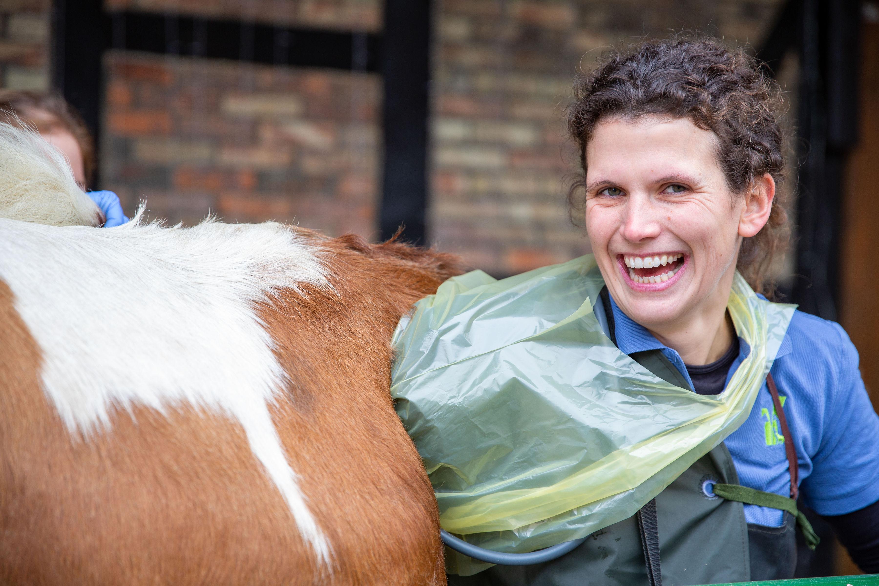 Tierarztpraxis Geng - unsere Vision